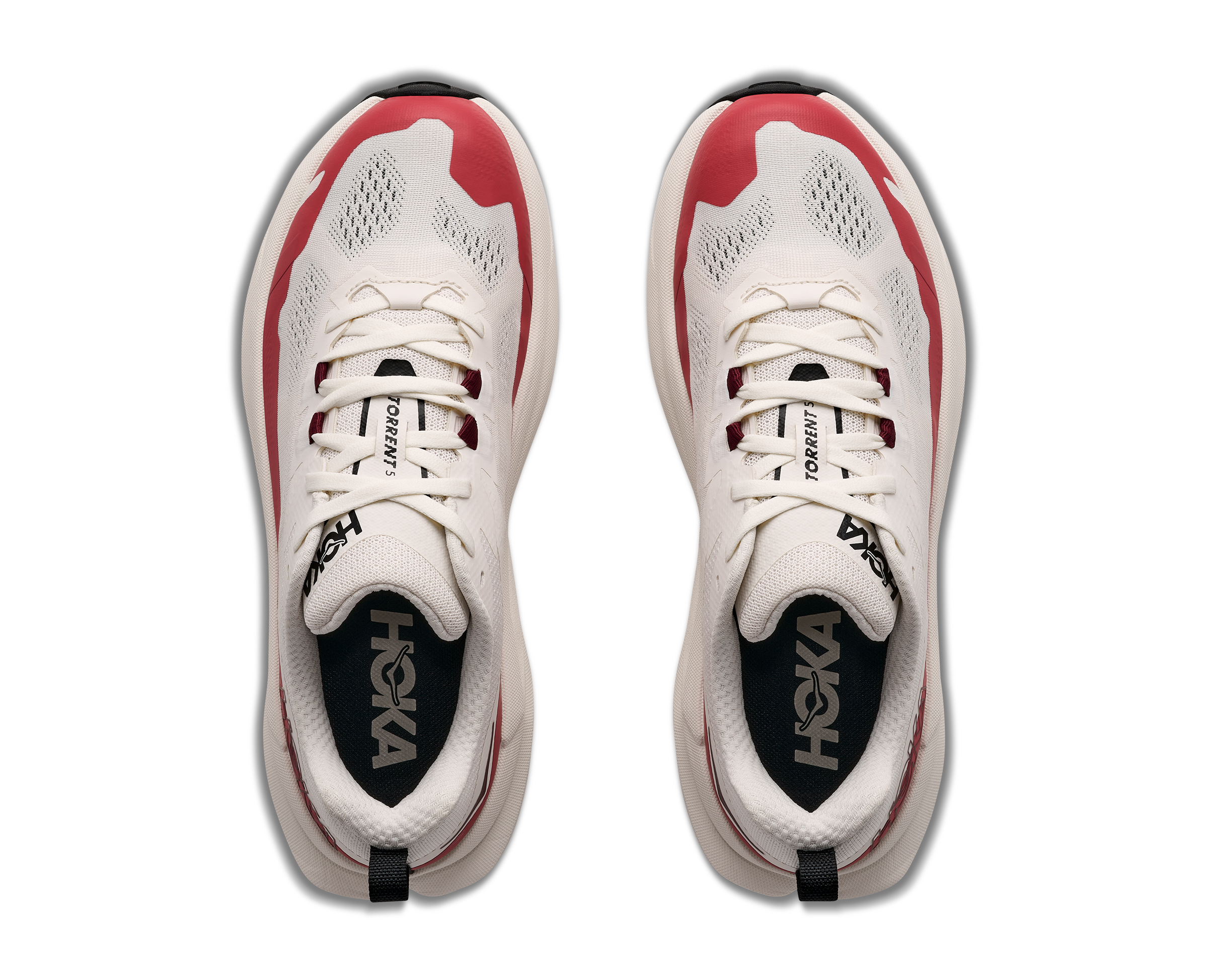 W TORRENT 5
