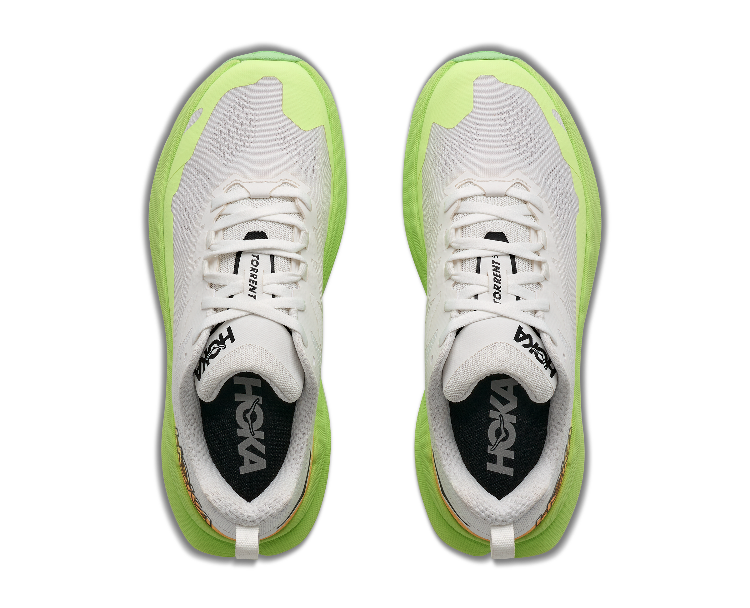W TORRENT 5