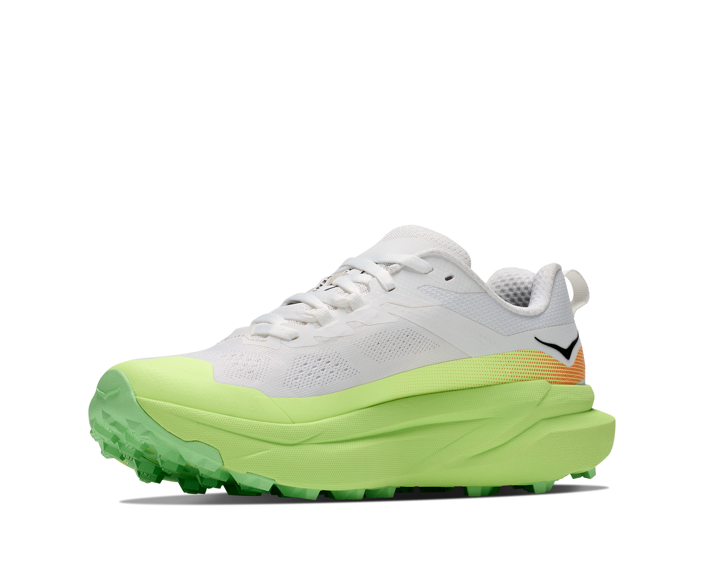 M TORRENT 5