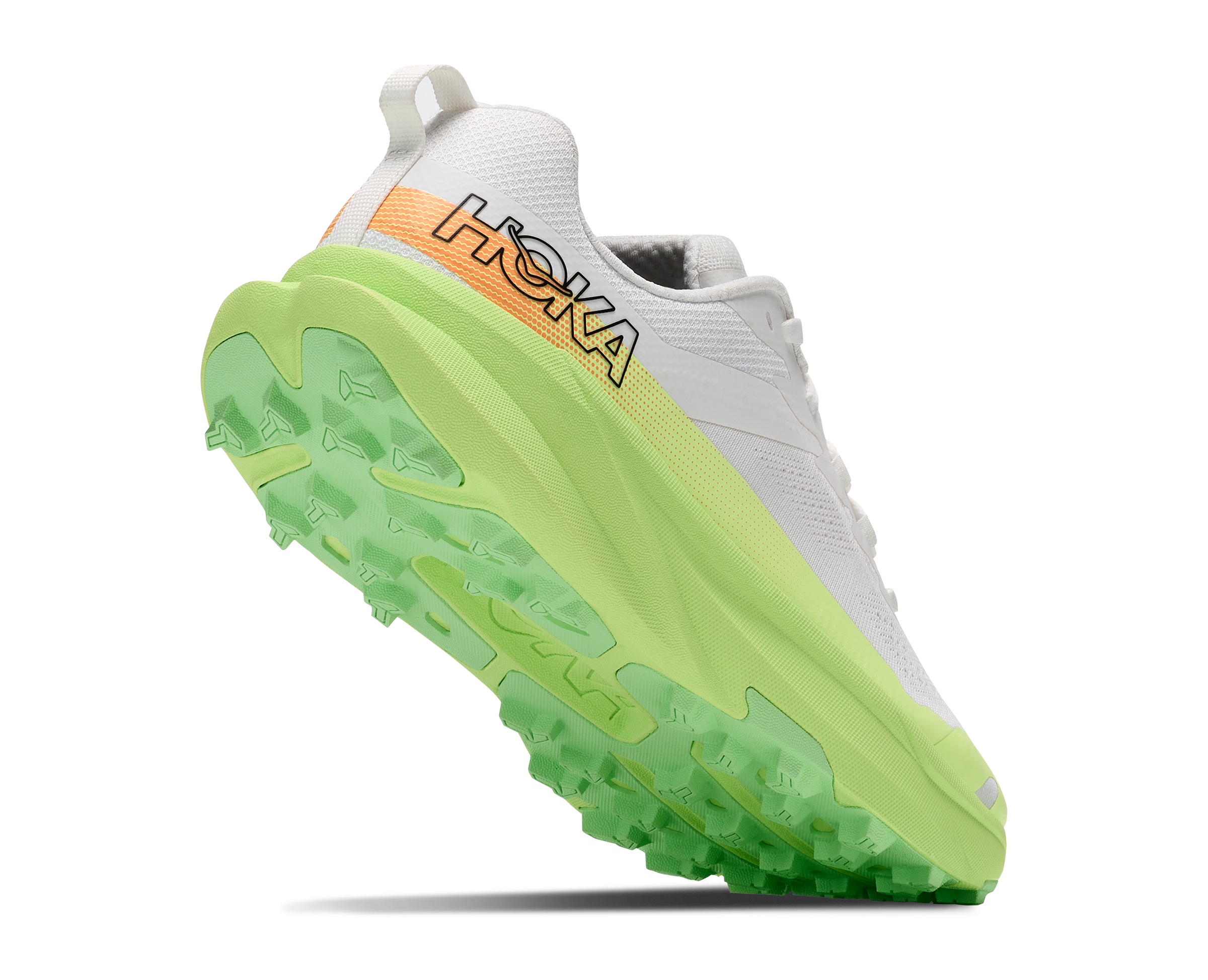 M TORRENT 5