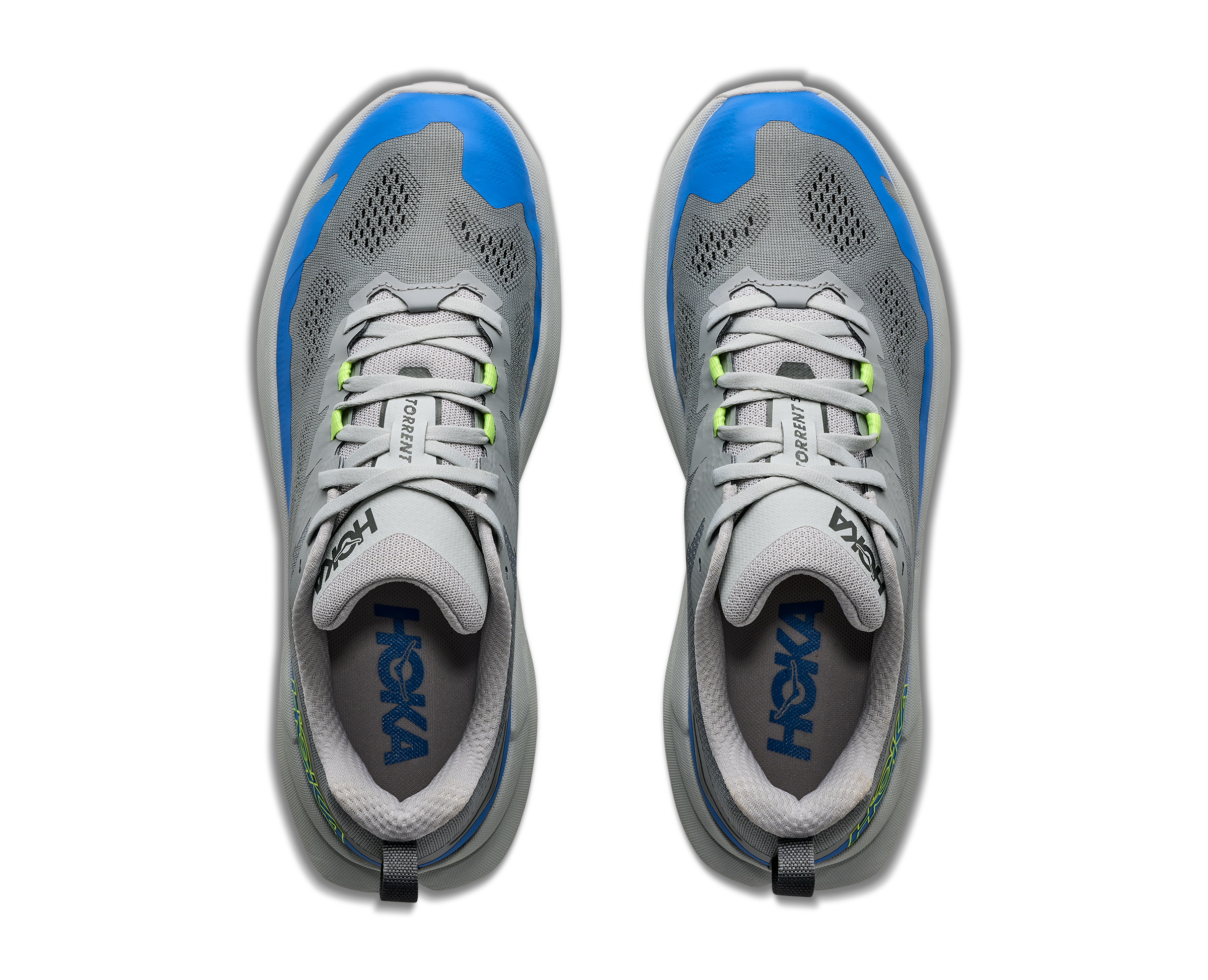 M TORRENT 5