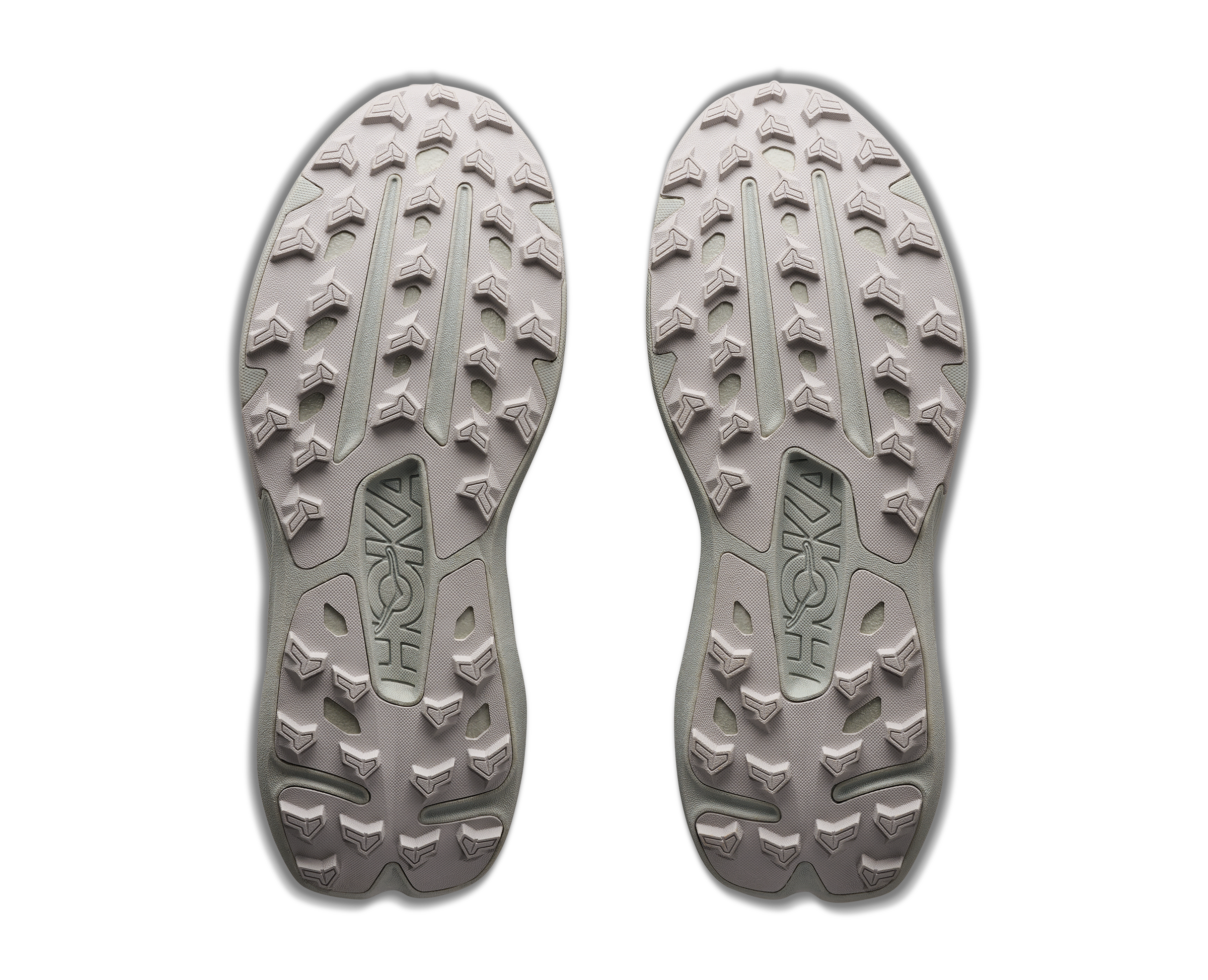 M TORRENT 5