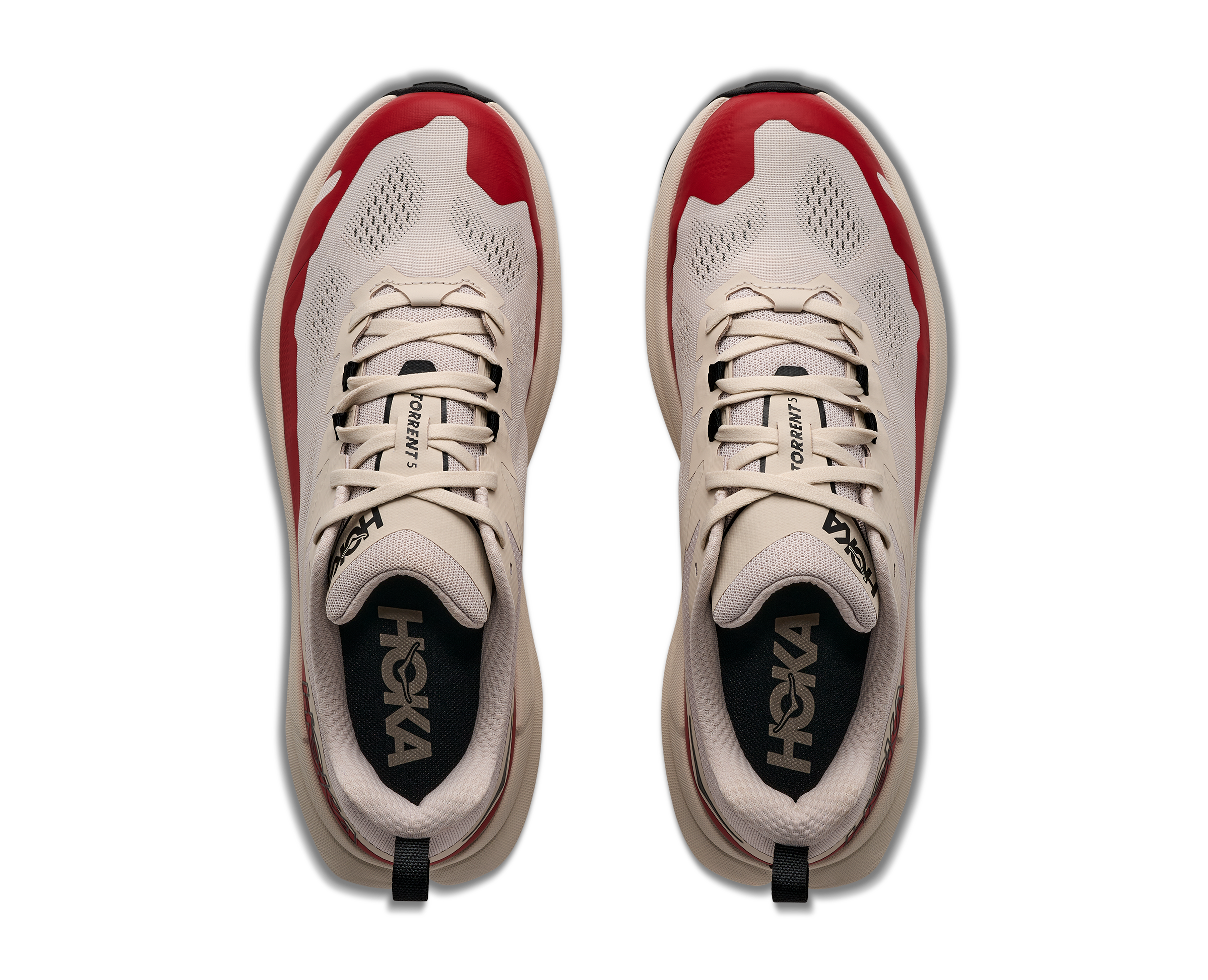 M TORRENT 5