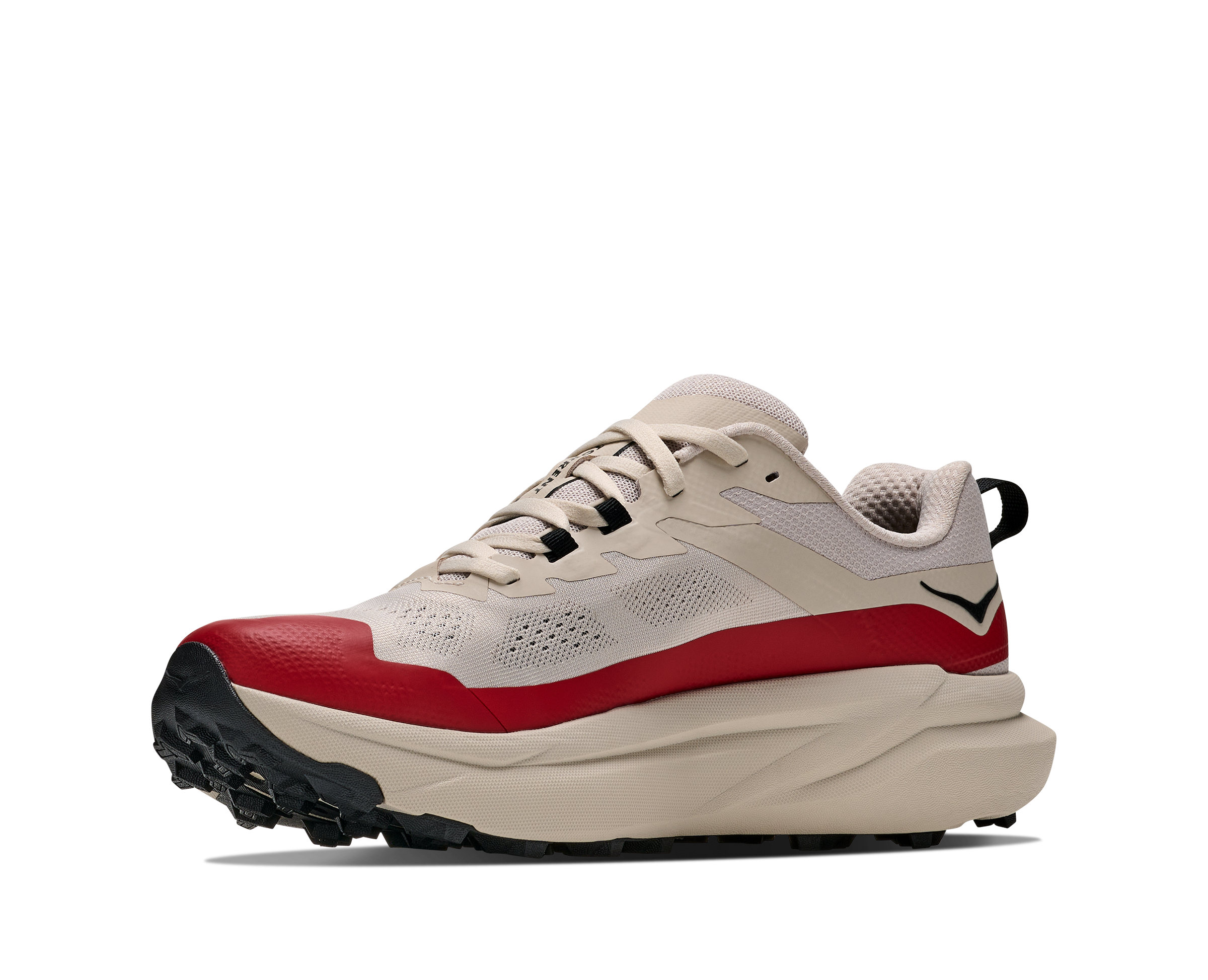 M TORRENT 5