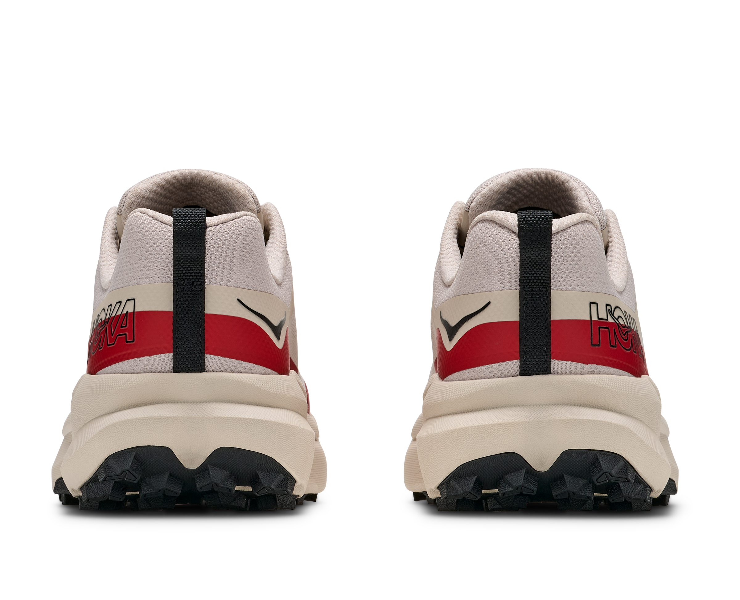 M TORRENT 5