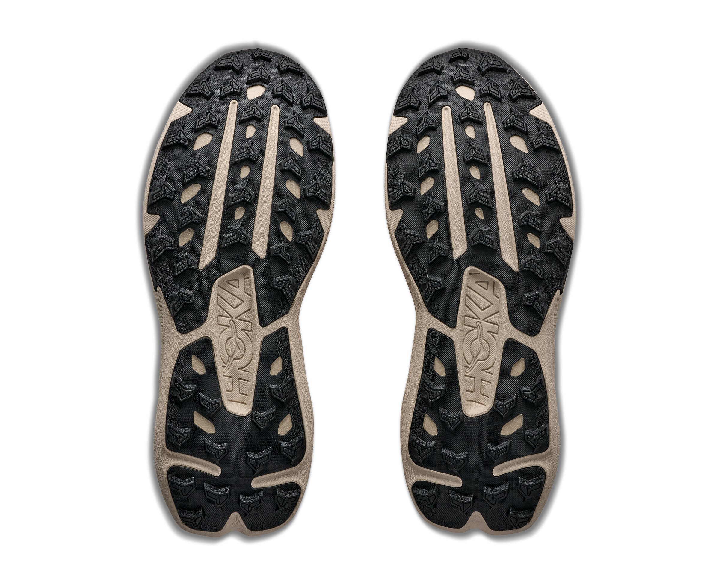M TORRENT 5