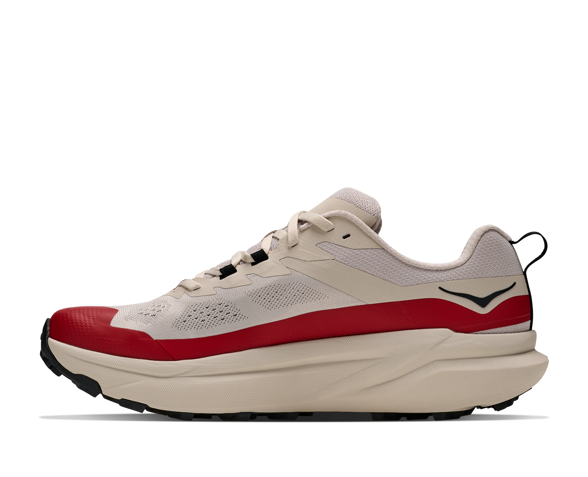 M TORRENT 5